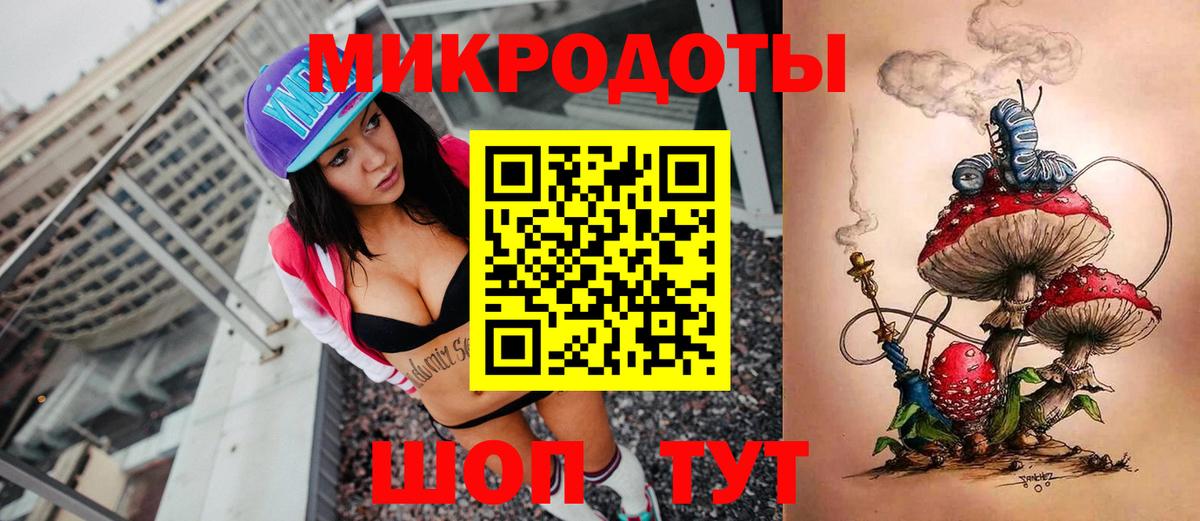 Псилоцибиновые грибы Psilocybine cubensis Таганрог